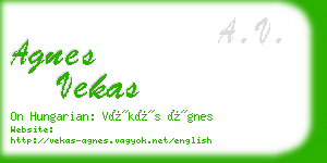 agnes vekas business card